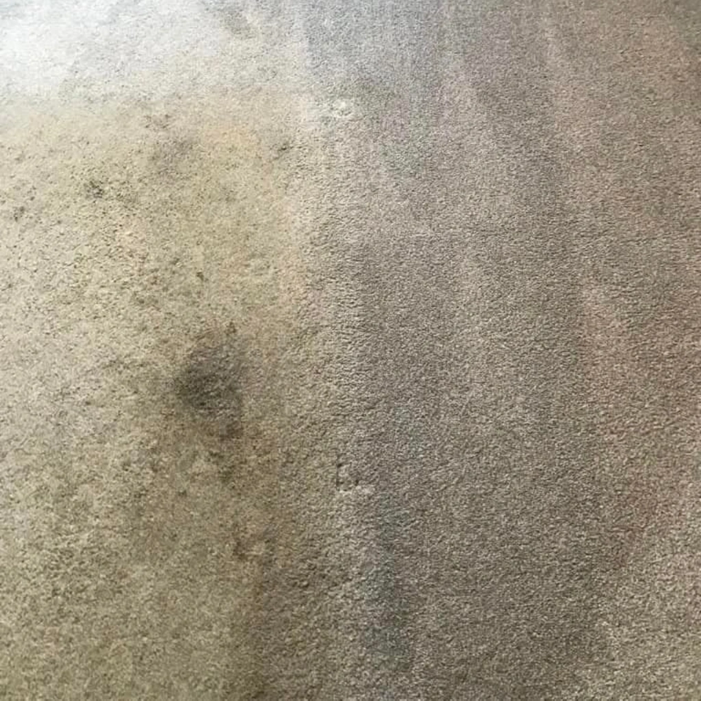 Carpet Cleaning by carpet fresh before work