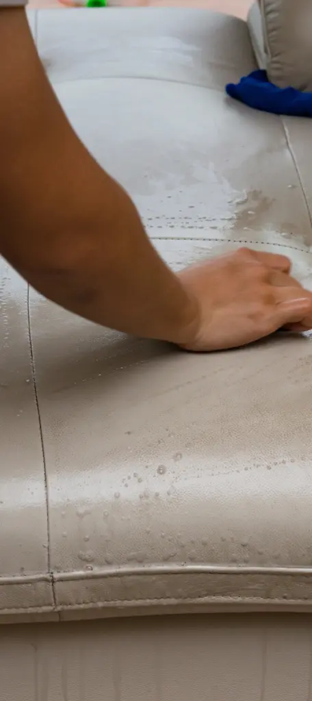 Professional Leather upholstery Cleaning by Carpet Fresh services section