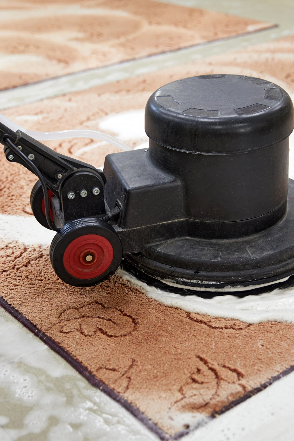 Specialist Cleaning of a rug