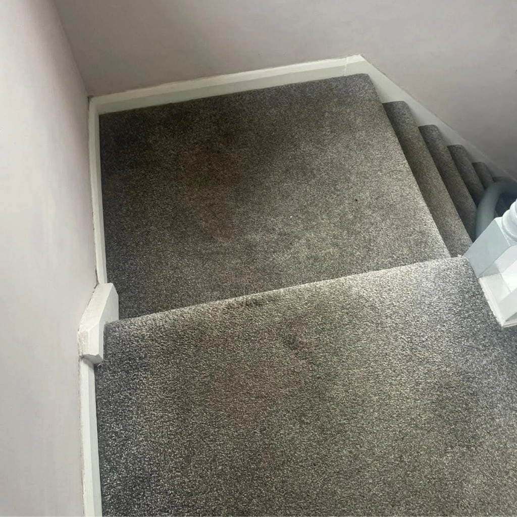 carpet on stairs cleaning essex before