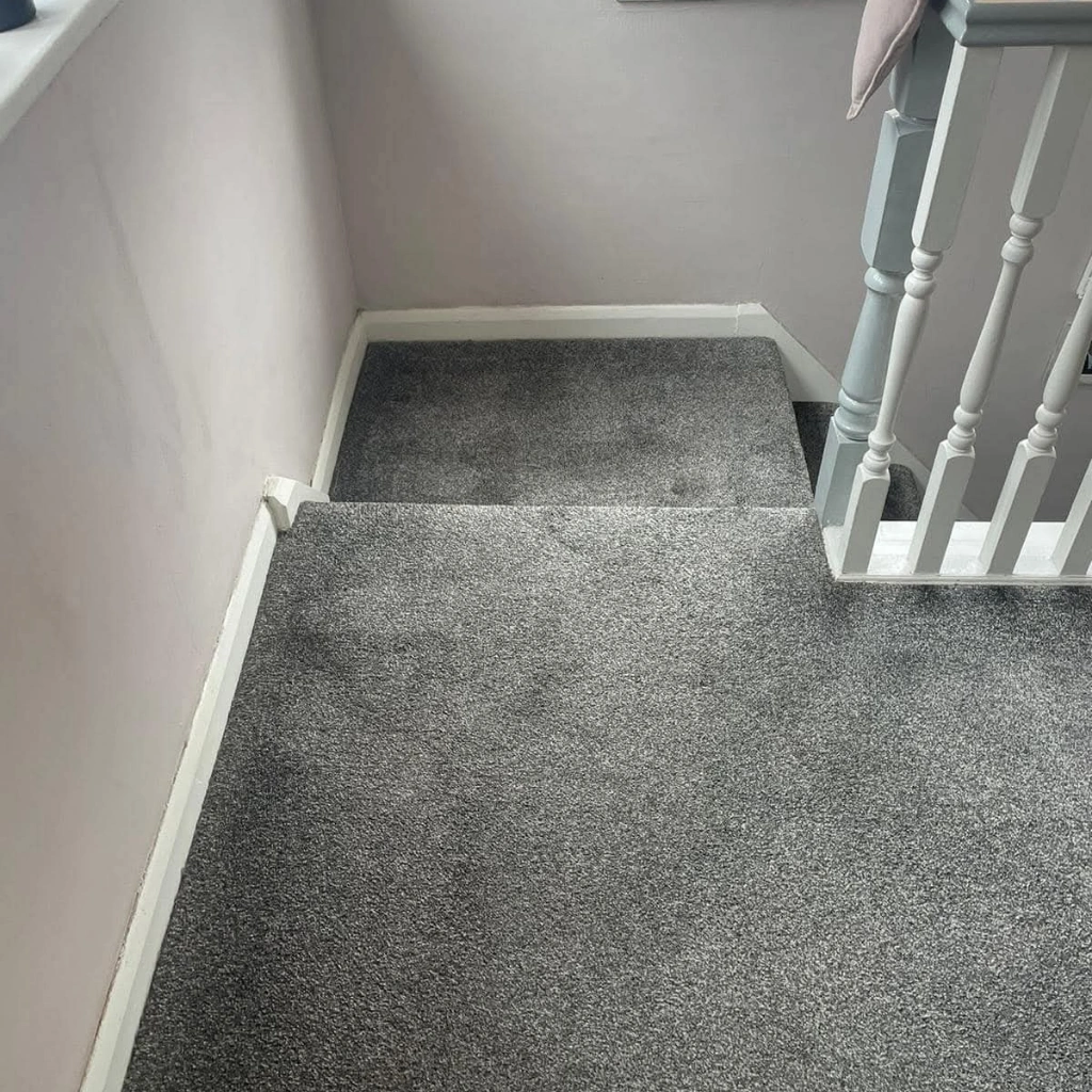 carpet stairs cleaning essex after