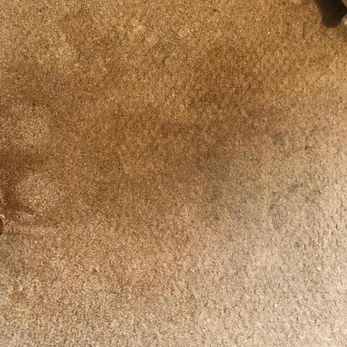 Carpet Cleaning by carpet fresh Service after