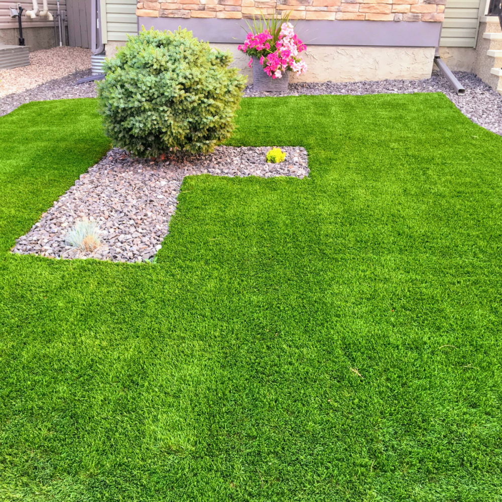 artificial-grass-cleaning