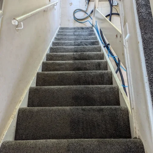 carpet stairs cleaning by fresh carpet after