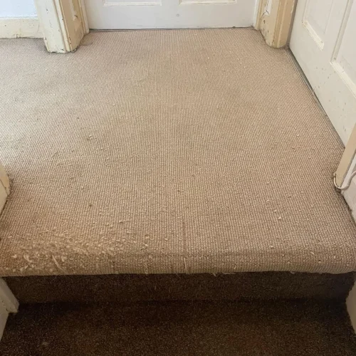 dirty carpet cleaning service essex after