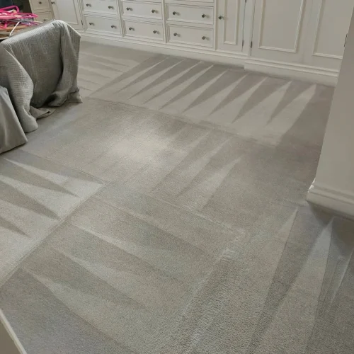 local carpet cleaning service essex after