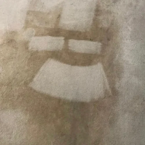 local carpet cleaning service essex cleaners before